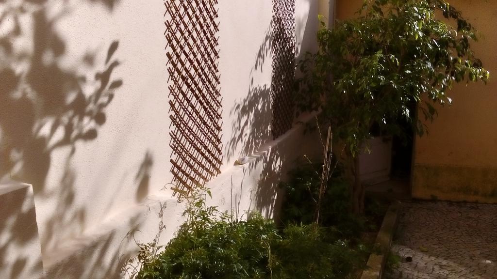 Casa Do Jasmim Quarto em Acomodações Particulares Lisboa